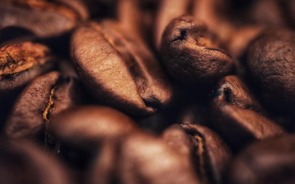 Café Kwanza - agricultura ligado a café arábica do amboim, gabela e uíge