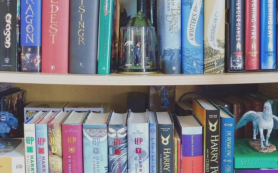 Livraria Central - comércio ligado a mais de 28.000 títulos em português, inglês e francês